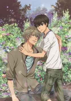 Super Lovers