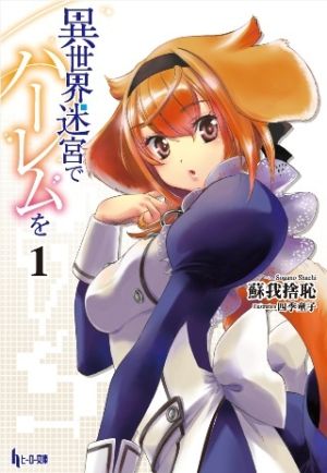 Isekai Meikyuu de Harem o - Novel